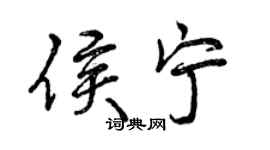 曾慶福侯寧行書個性簽名怎么寫