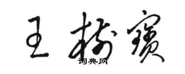 駱恆光王樹寶草書個性簽名怎么寫