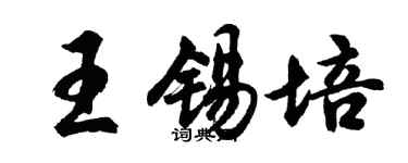 胡問遂王錫培行書個性簽名怎么寫