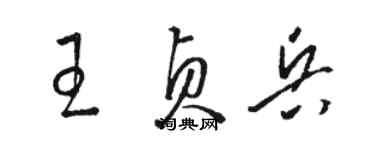 駱恆光王貞兵草書個性簽名怎么寫