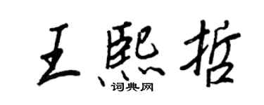 王正良王熙哲行書個性簽名怎么寫