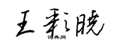 王正良王彩曉行書個性簽名怎么寫
