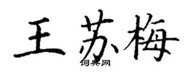 丁謙王蘇梅楷書個性簽名怎么寫