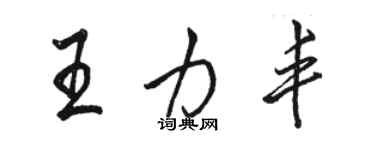 駱恆光王力豐行書個性簽名怎么寫