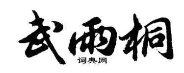 胡問遂武雨桐行書個性簽名怎么寫