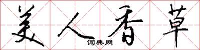 美人香草怎么寫好看
