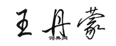 駱恆光王丹蒙行書個性簽名怎么寫