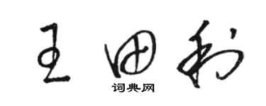 駱恆光王田利草書個性簽名怎么寫