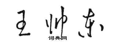 駱恆光王帥東草書個性簽名怎么寫