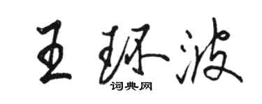駱恆光王環波行書個性簽名怎么寫