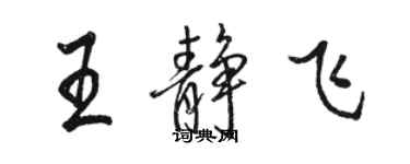 駱恆光王靜飛行書個性簽名怎么寫