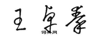 駱恆光王卓秦草書個性簽名怎么寫