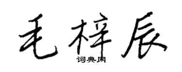 王正良毛梓辰行書個性簽名怎么寫