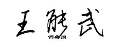 王正良王能武行書個性簽名怎么寫
