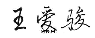 駱恆光王愛駿行書個性簽名怎么寫