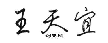 駱恆光王天宜行書個性簽名怎么寫