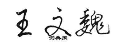 駱恆光王文魏行書個性簽名怎么寫