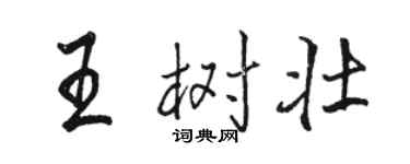 駱恆光王樹壯行書個性簽名怎么寫