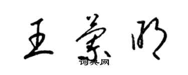 梁錦英王蘭明草書個性簽名怎么寫