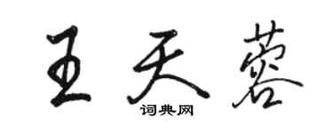 駱恆光王天蓉行書個性簽名怎么寫