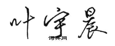 駱恆光葉宇晨行書個性簽名怎么寫