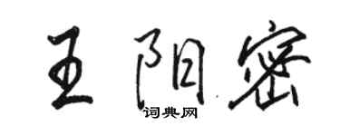 駱恆光王陽密行書個性簽名怎么寫