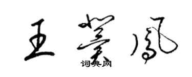 梁錦英王冀鳳草書個性簽名怎么寫