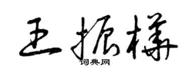 曾慶福王振樺草書個性簽名怎么寫