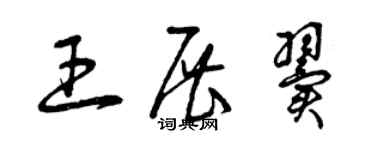 曾慶福王展翼草書個性簽名怎么寫