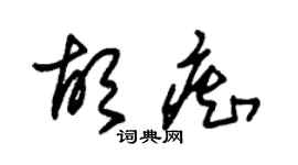 朱錫榮胡痴草書個性簽名怎么寫