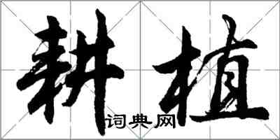 胡問遂耕植行書怎么寫