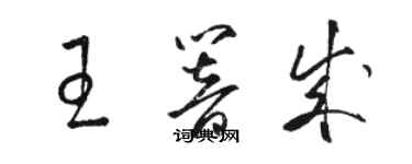 駱恆光王響成草書個性簽名怎么寫