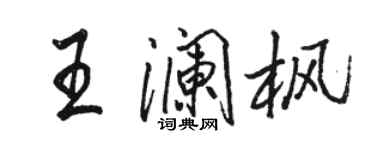駱恆光王瀾楓行書個性簽名怎么寫