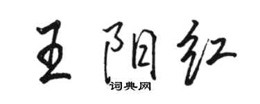 駱恆光王陽紅行書個性簽名怎么寫