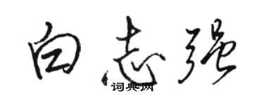 駱恆光白志強行書個性簽名怎么寫