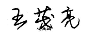 朱錫榮王茂亮草書個性簽名怎么寫