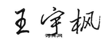 駱恆光王宇楓行書個性簽名怎么寫
