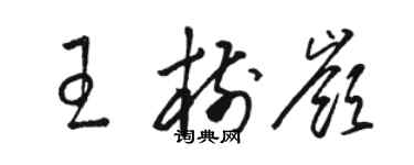 駱恆光王樹嶺草書個性簽名怎么寫