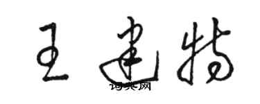 駱恆光王建特草書個性簽名怎么寫