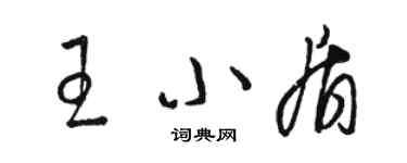 駱恆光王小盾草書個性簽名怎么寫