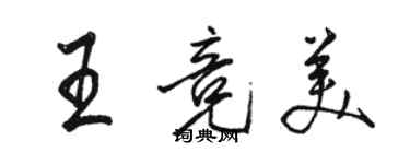 駱恆光王競美行書個性簽名怎么寫