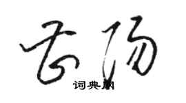 駱恆光曹陽草書個性簽名怎么寫