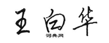 駱恆光王白華行書個性簽名怎么寫