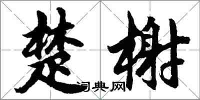 胡問遂楚榭行書怎么寫