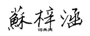 王正良蘇梓涵行書個性簽名怎么寫