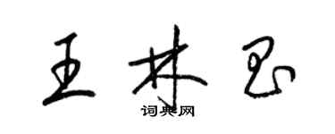 梁錦英王林昌草書個性簽名怎么寫