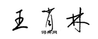 梁錦英王肖林草書個性簽名怎么寫