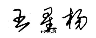 朱錫榮王星楊草書個性簽名怎么寫