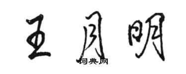 駱恆光王月明行書個性簽名怎么寫