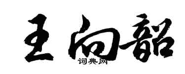 胡問遂王向韶行書個性簽名怎么寫